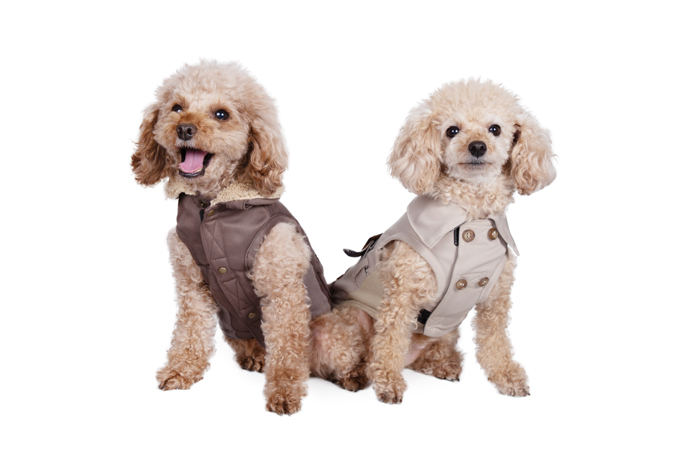 Dog Wear Brand Free Stitch