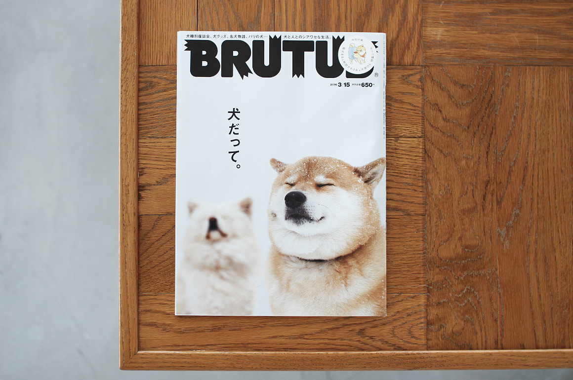 freestitch on BRUTUS