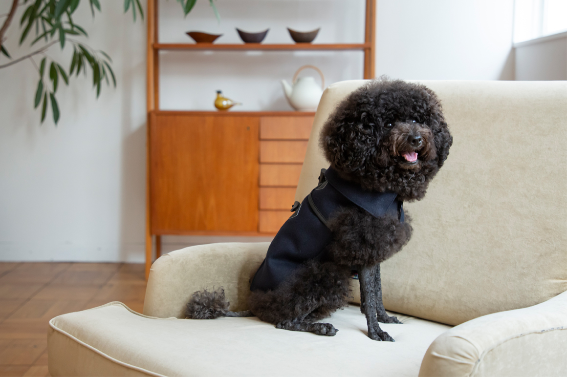 Poodle Meet Up 出店者紹介 Blog フリーステッチ Free Stitch