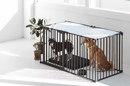 Stylish Dog Circle Ceiling Net