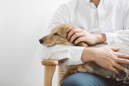 狂犬病予防接種猶予について