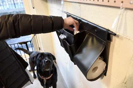 快適なDog Friendly Officeを作るには