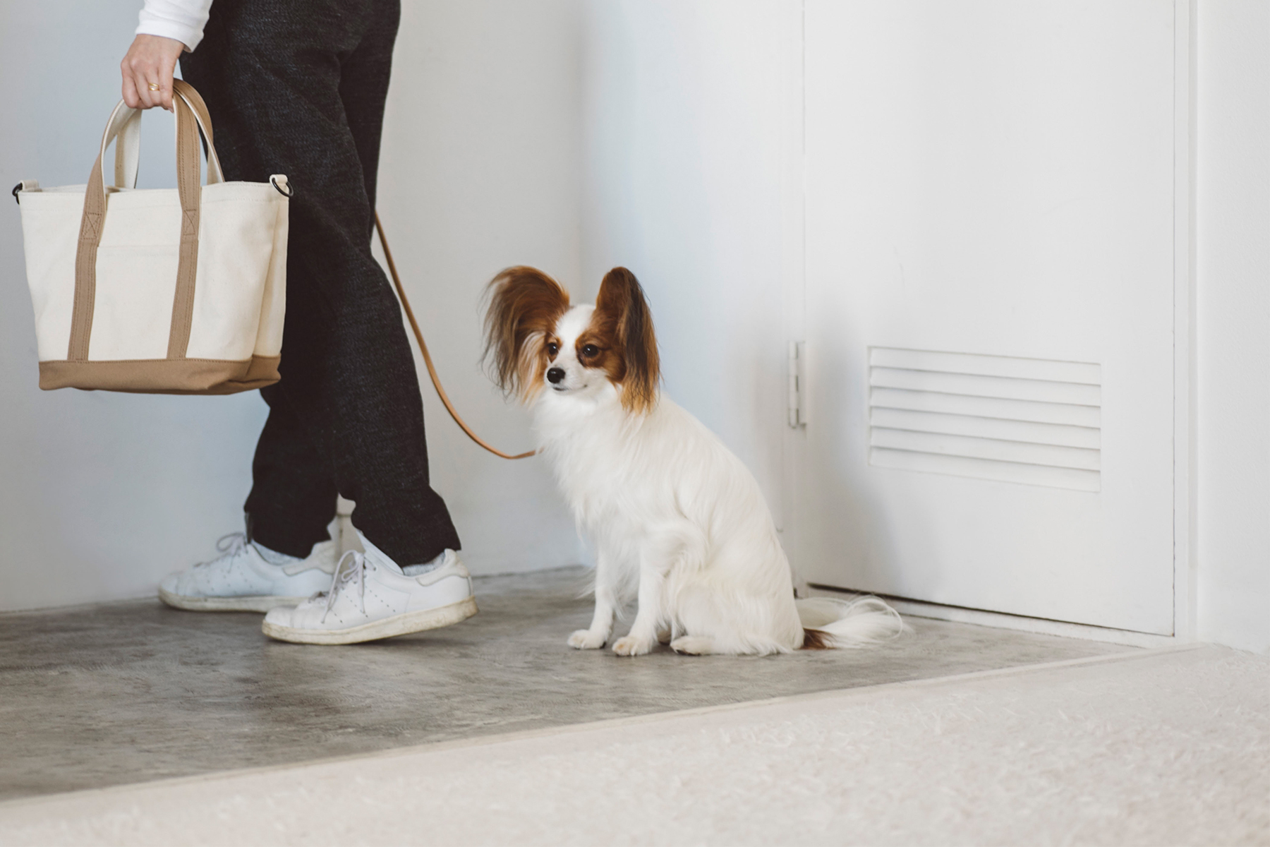 フランスの人気犬種