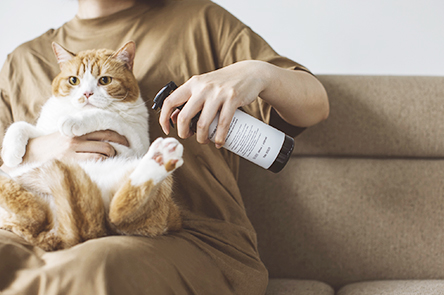 All-round Care Spray for Cats