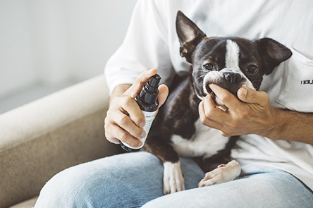 Oral Care Spray for Pets