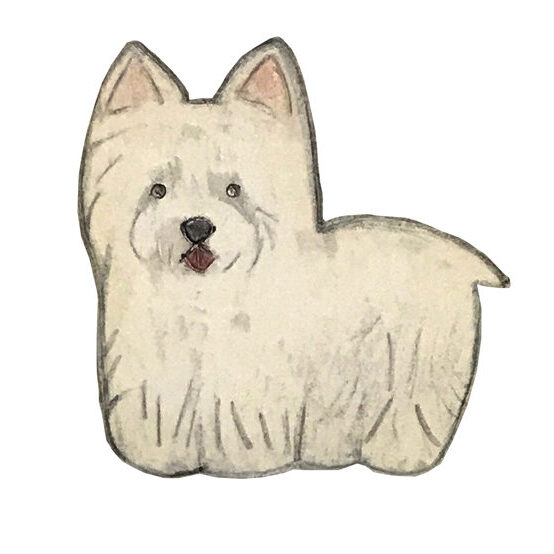 ウェスティ　犬　コリッチ　イラスト　coricci illustration