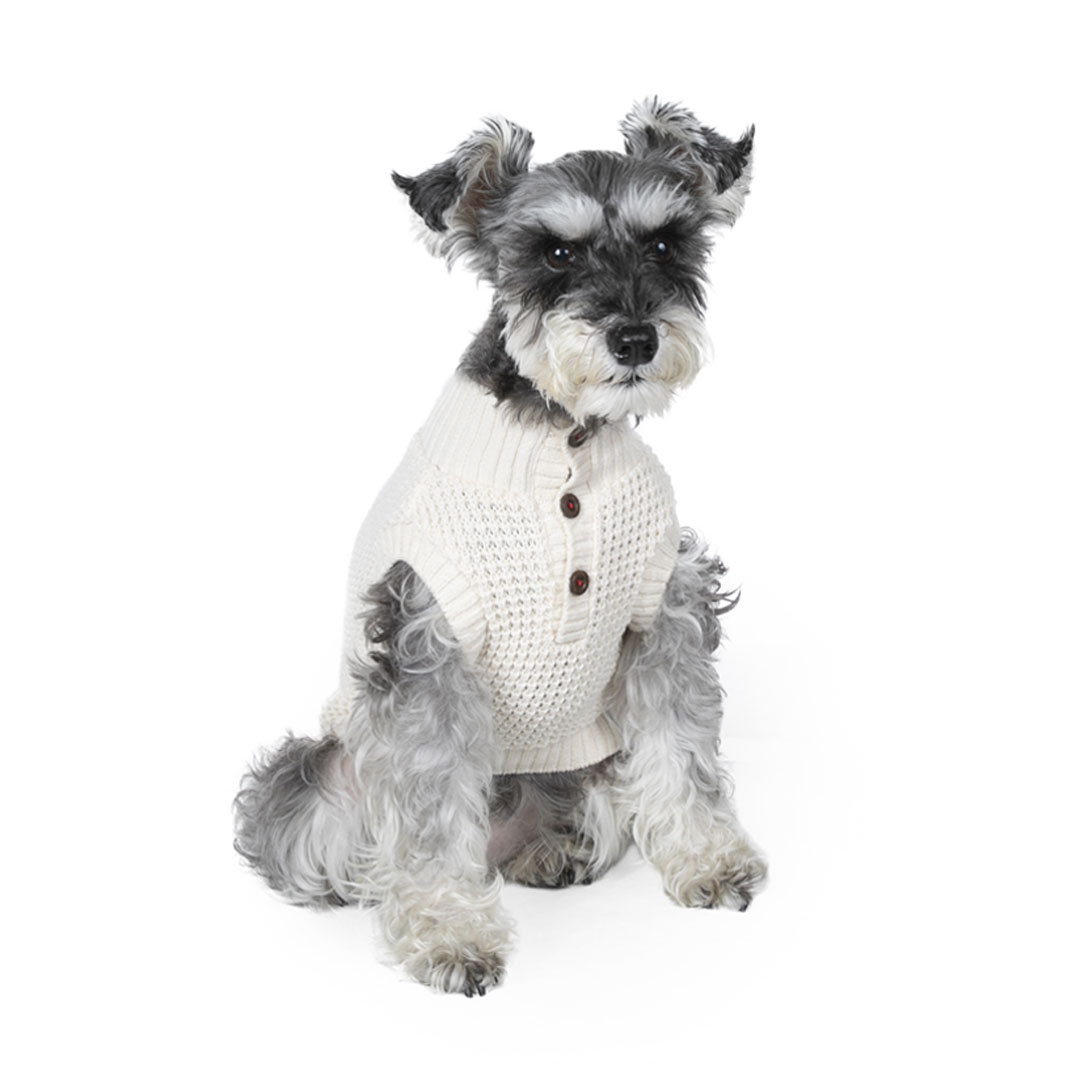 Schnauzer | meetup | フリーステッチ free stitch