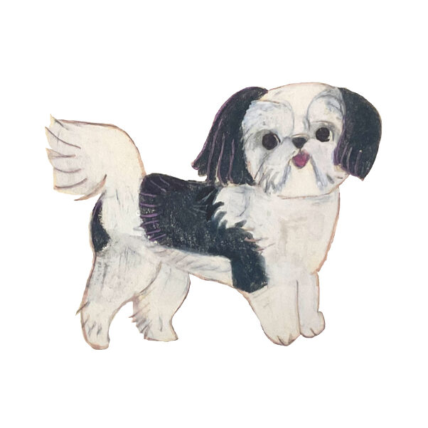 dog meet up event Shih-Tzu festival ドッグフェス　犬　野外イベント　シーズー　フェスティバル　オフ会　イラスト