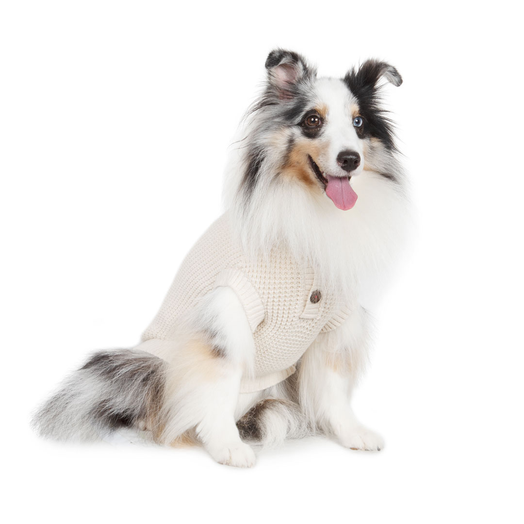 Shetland Sheepdog | meetup | フリーステッチ free stitch