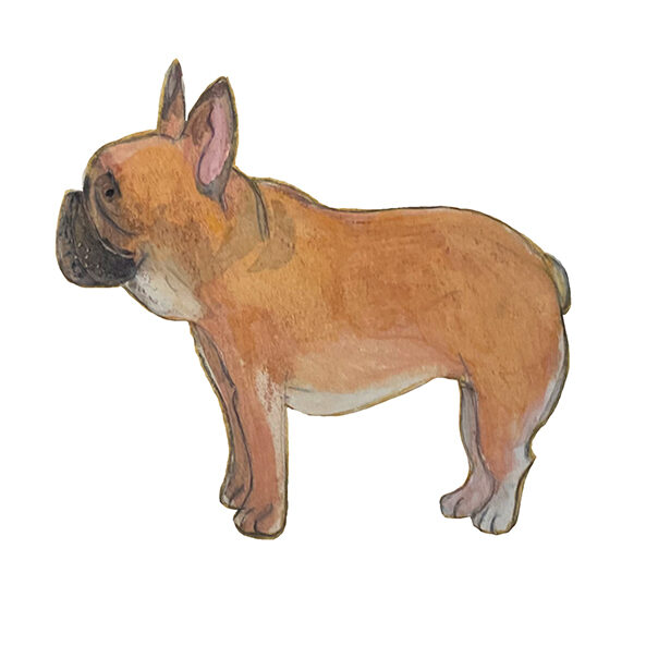 dog meet up event frenchbulldog meetup ドッグフェス　犬　野外イベント　フレブルミートアップ　フレンチ　フレブル　フレンチブルドッグミートアップ　フェスティバル　オフ会