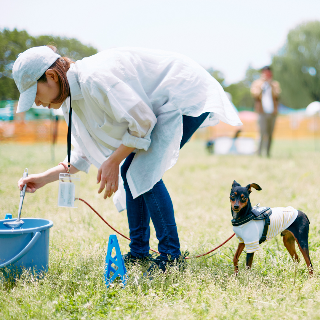 2024年4月21日(日)に埼玉県秋ヶ瀬公園にて開催されるピンシャーのためのスペシャルフェスティバル！ピンシャー好きの方はぜひご来場ください。(申込期限は2月1日(木)まで)