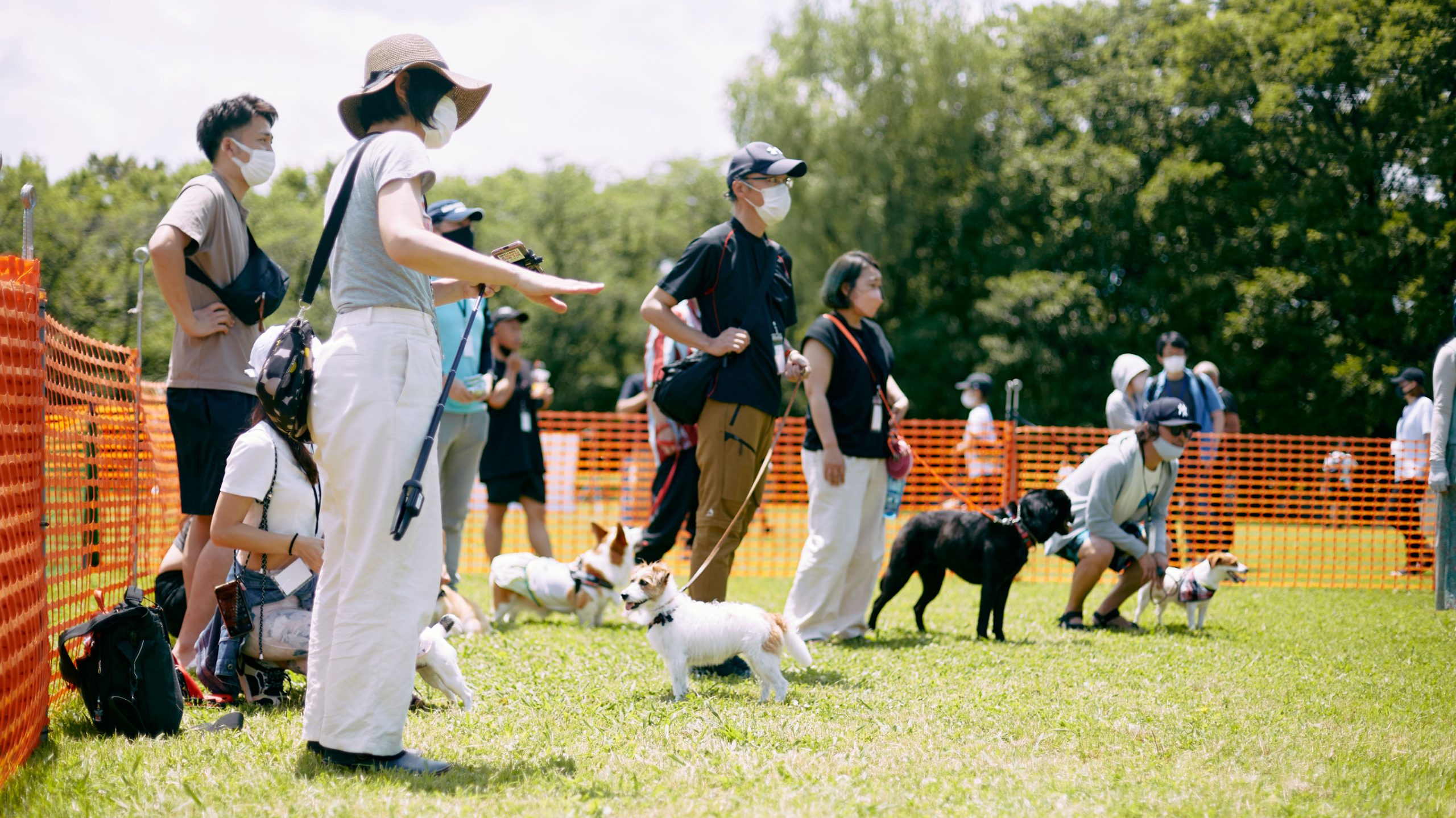 Training MEET UP 2024