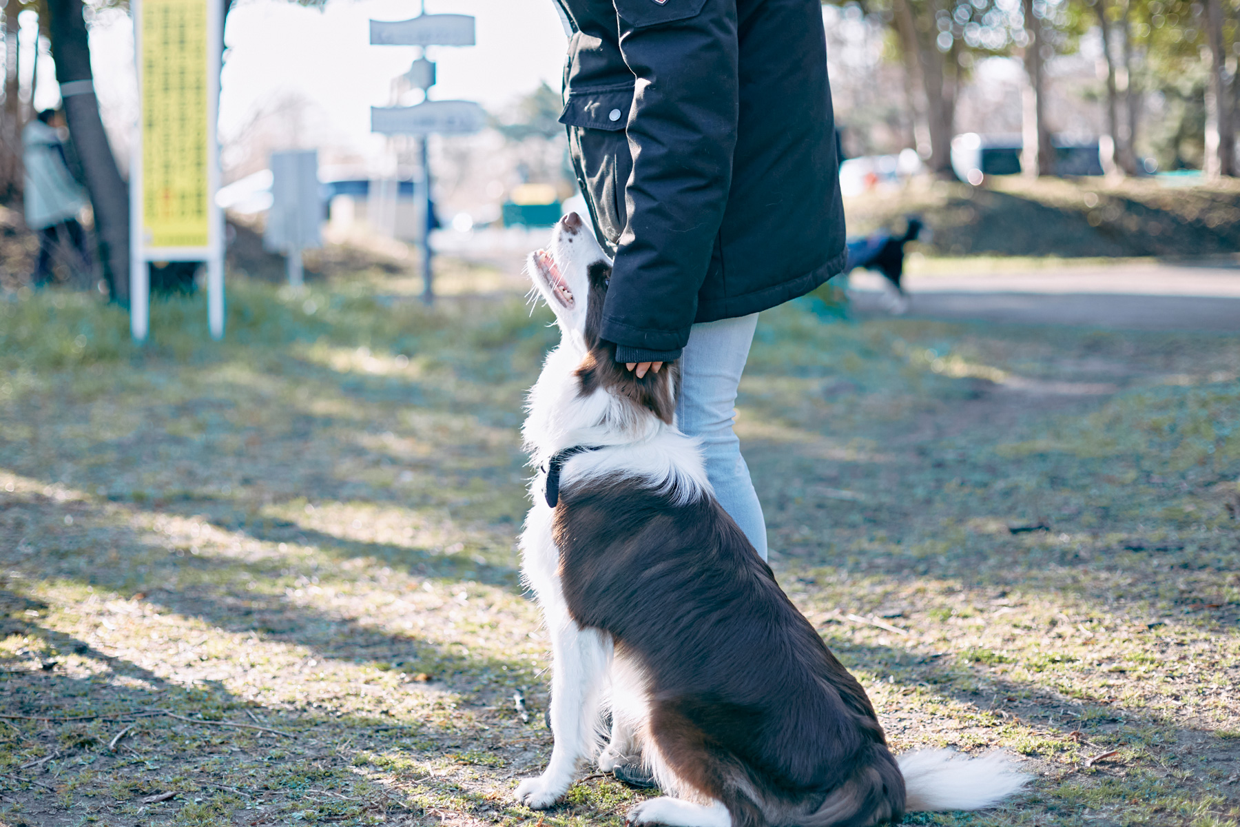 愛犬が飼い主をもっと好きになる遊び方セミナー！