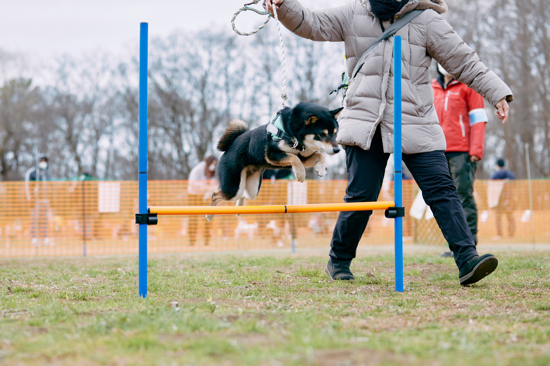 High jump(Shiba)