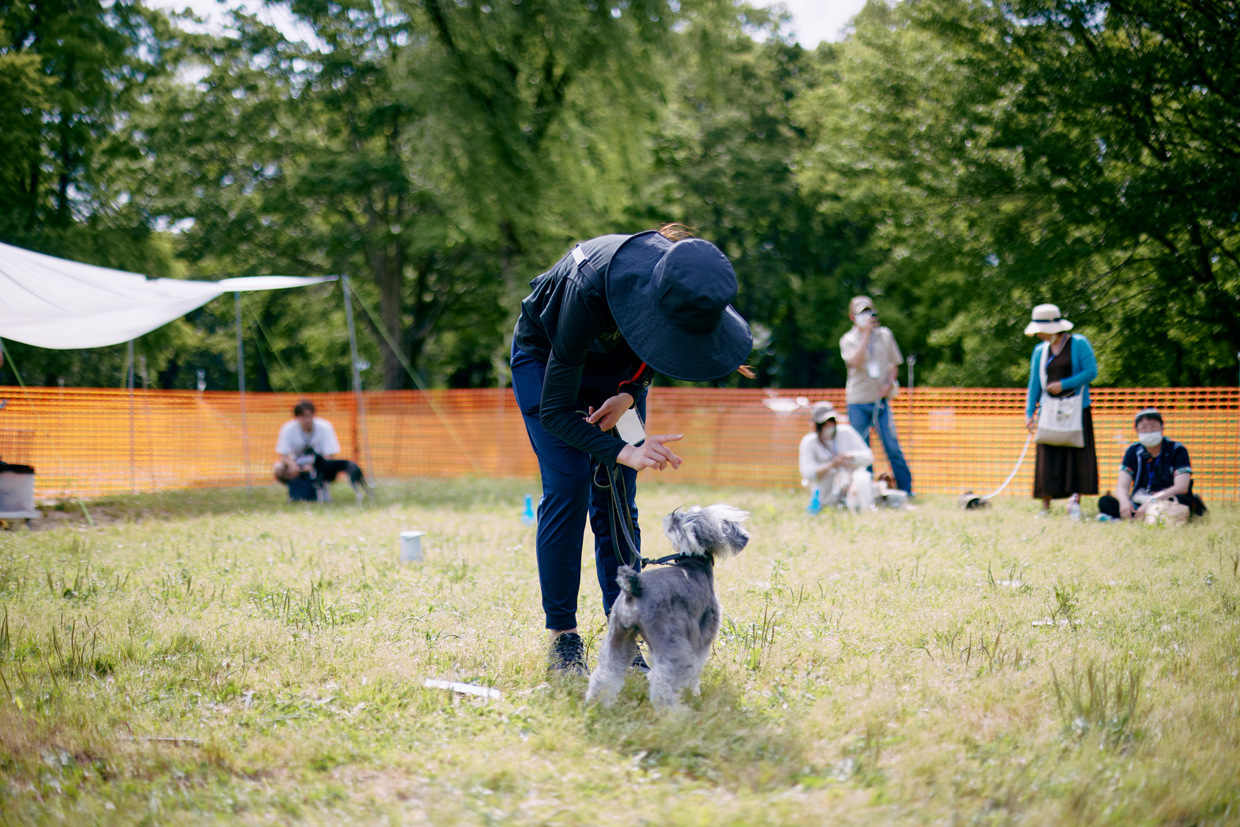 あなたが愛犬のために『いま』してあげられること（トレーニングミートアップ）