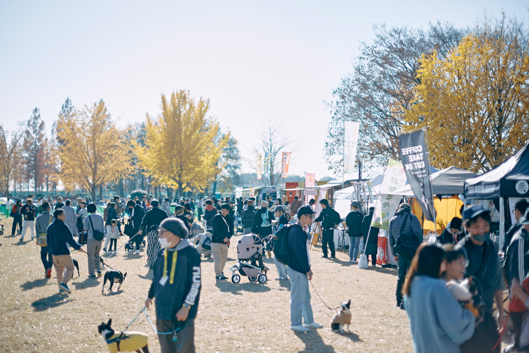 boston terrier festival 出店者