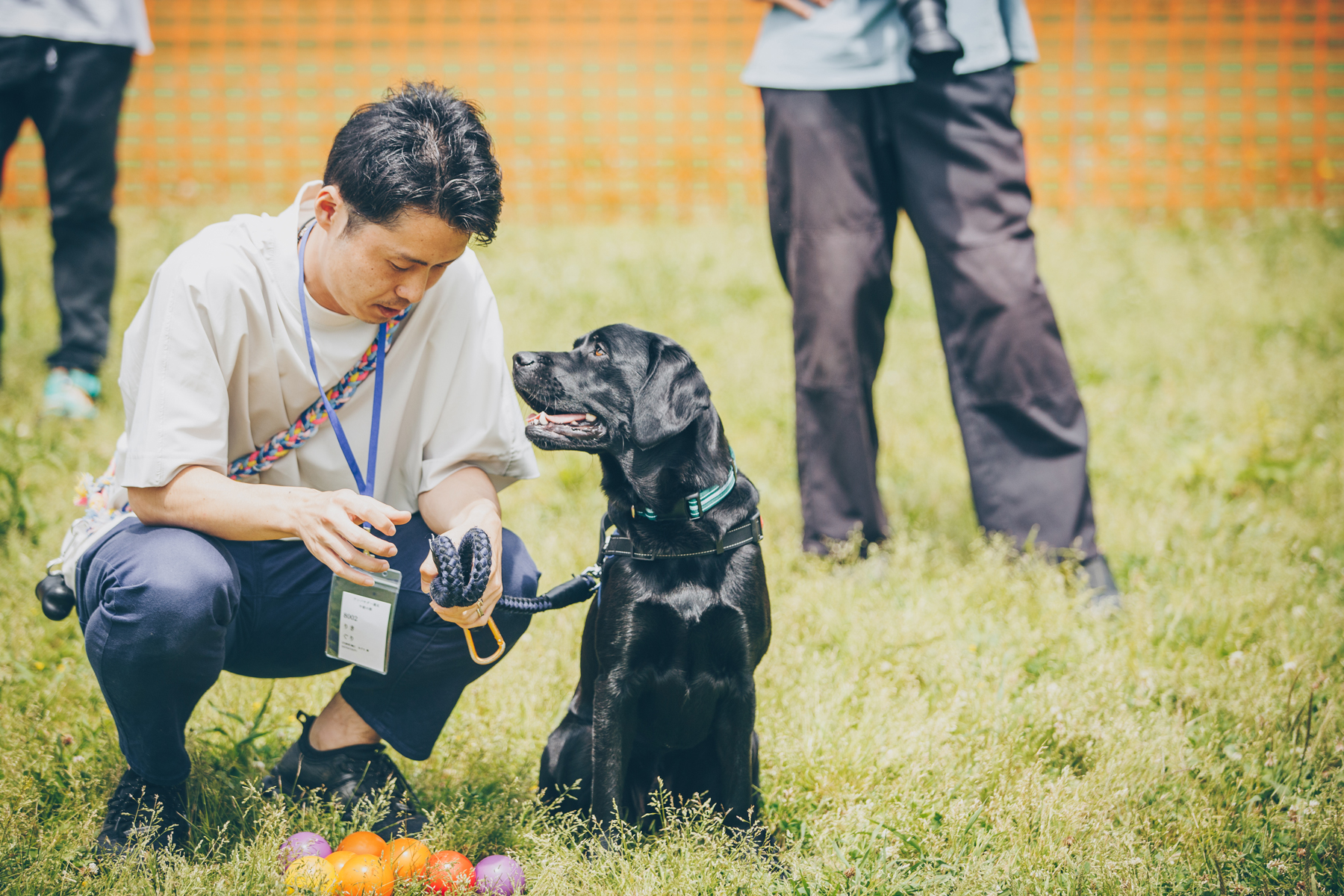 家族写真撮影(Retriever)