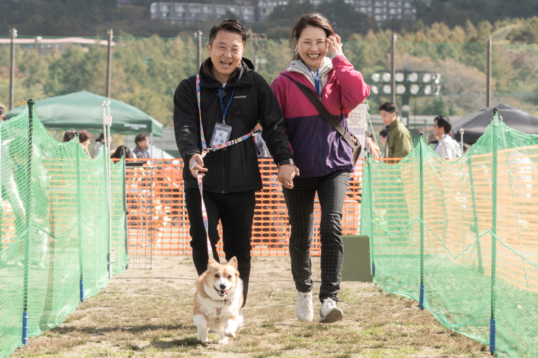 家族でダッシュ(Jack Russell Terrier)