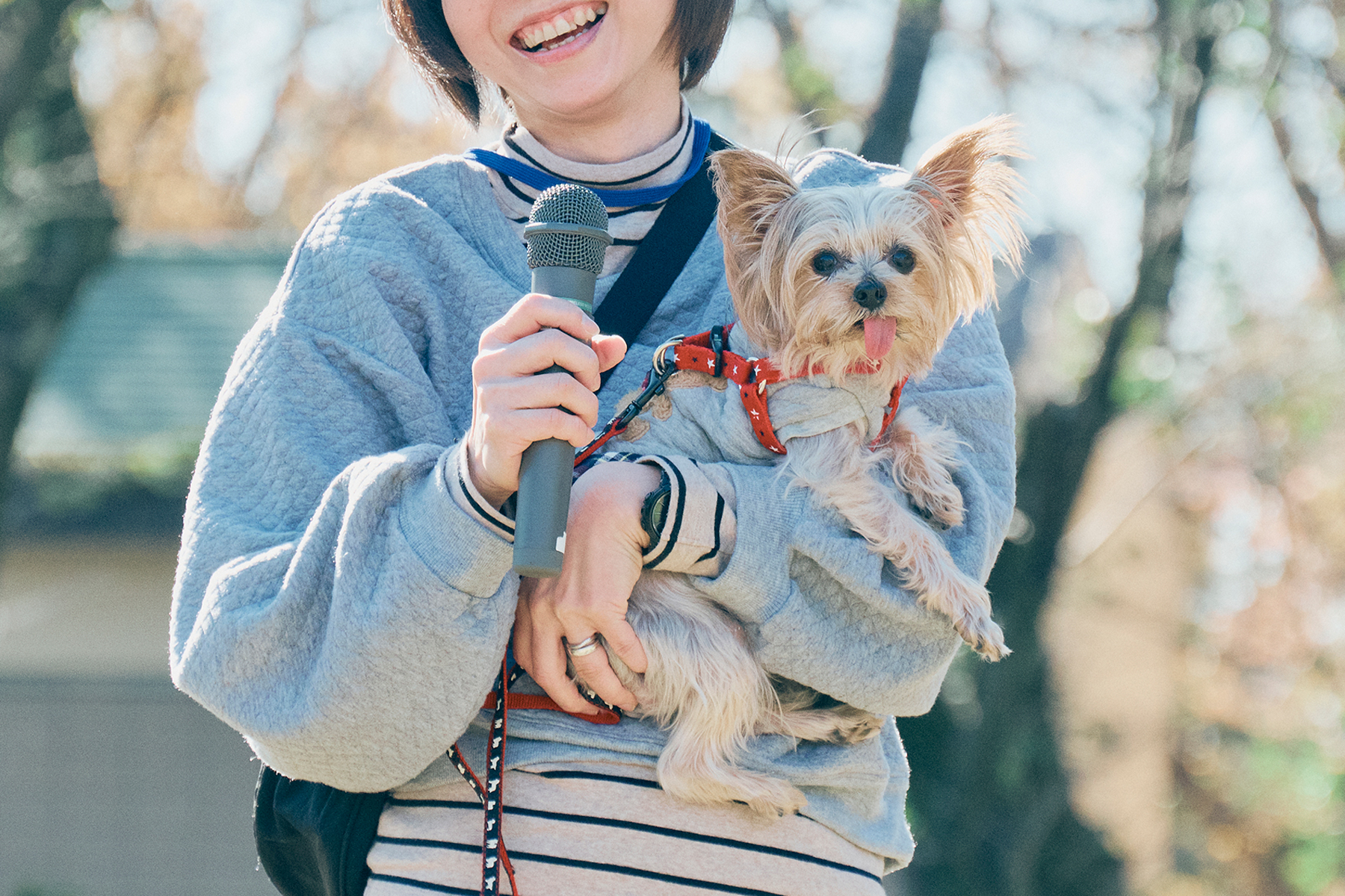 ご長寿犬表彰(Yorkshire Terrier)