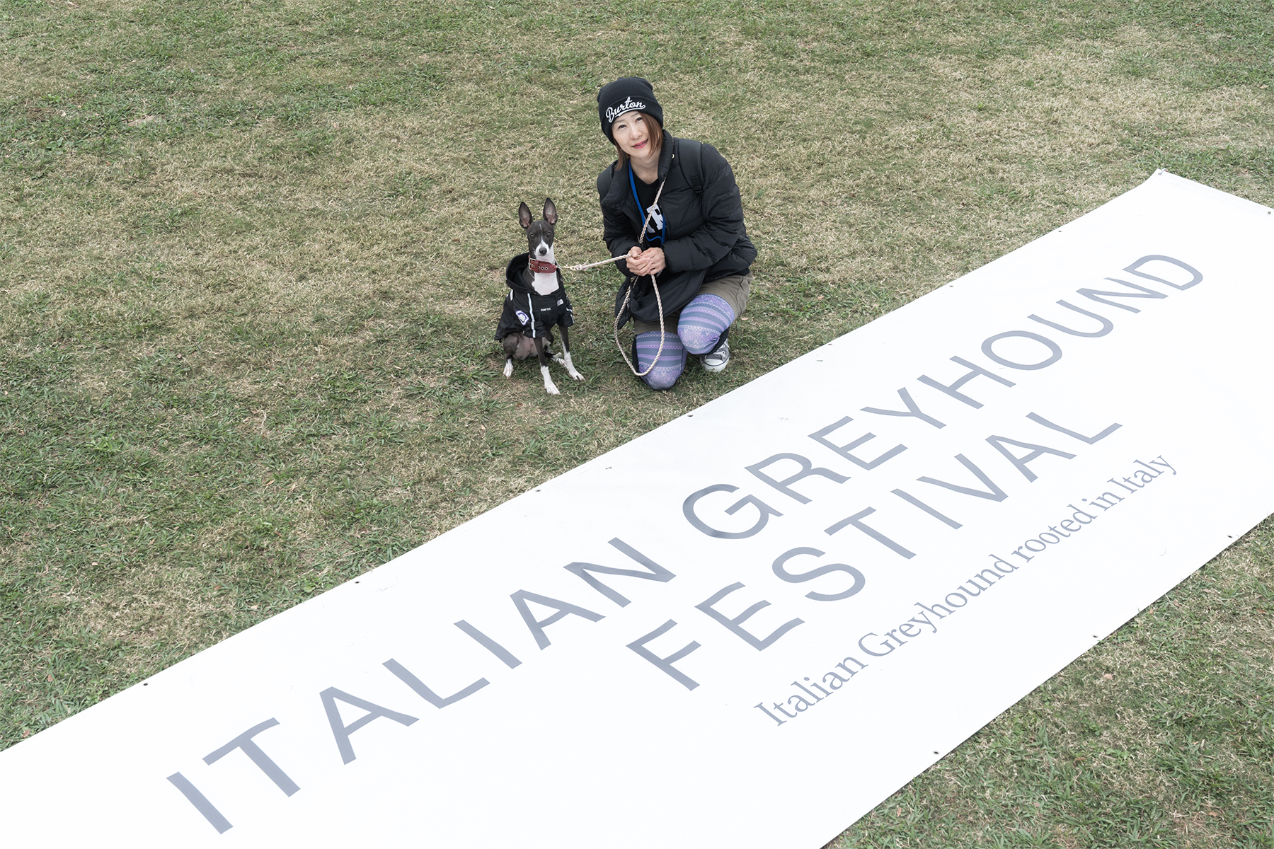 家族写真撮影(Italian Greyhound)