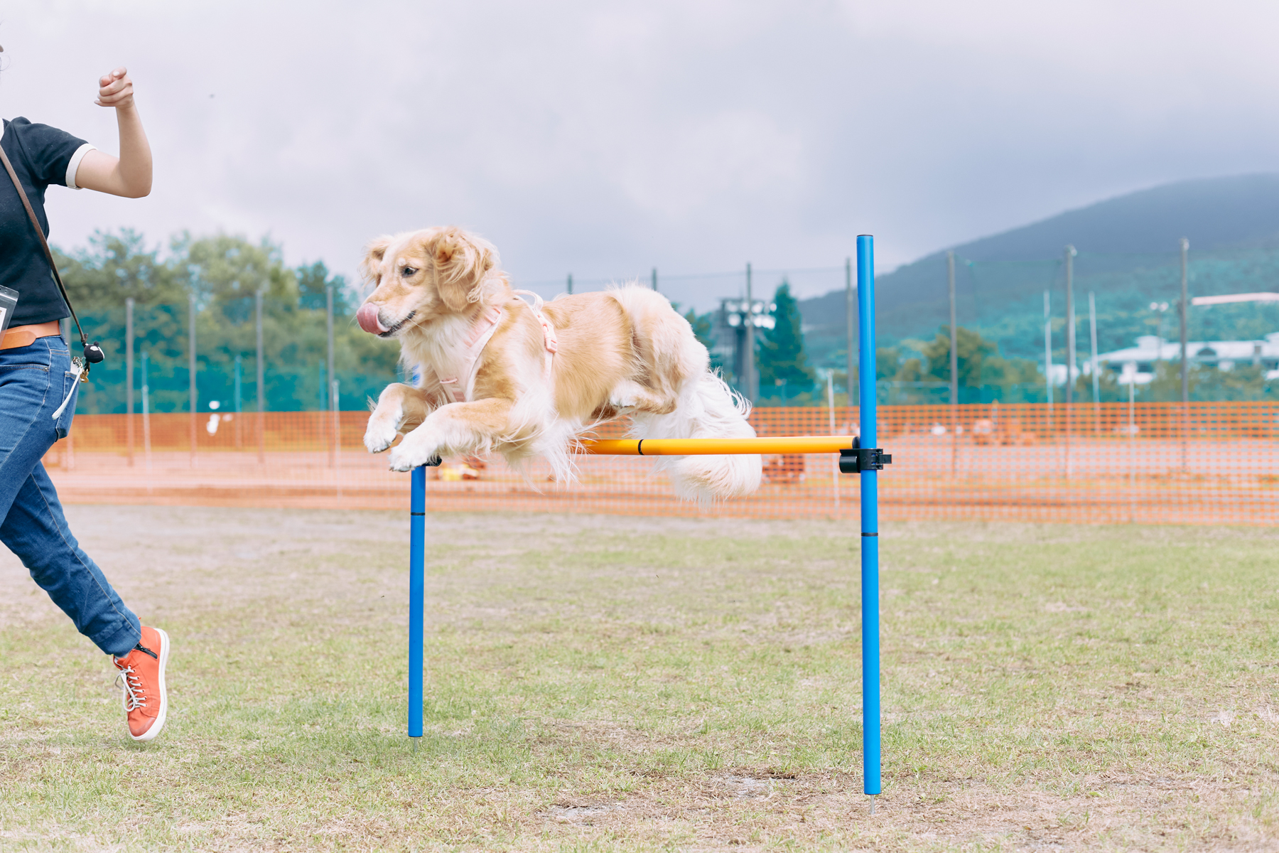 High jump(Retriever)