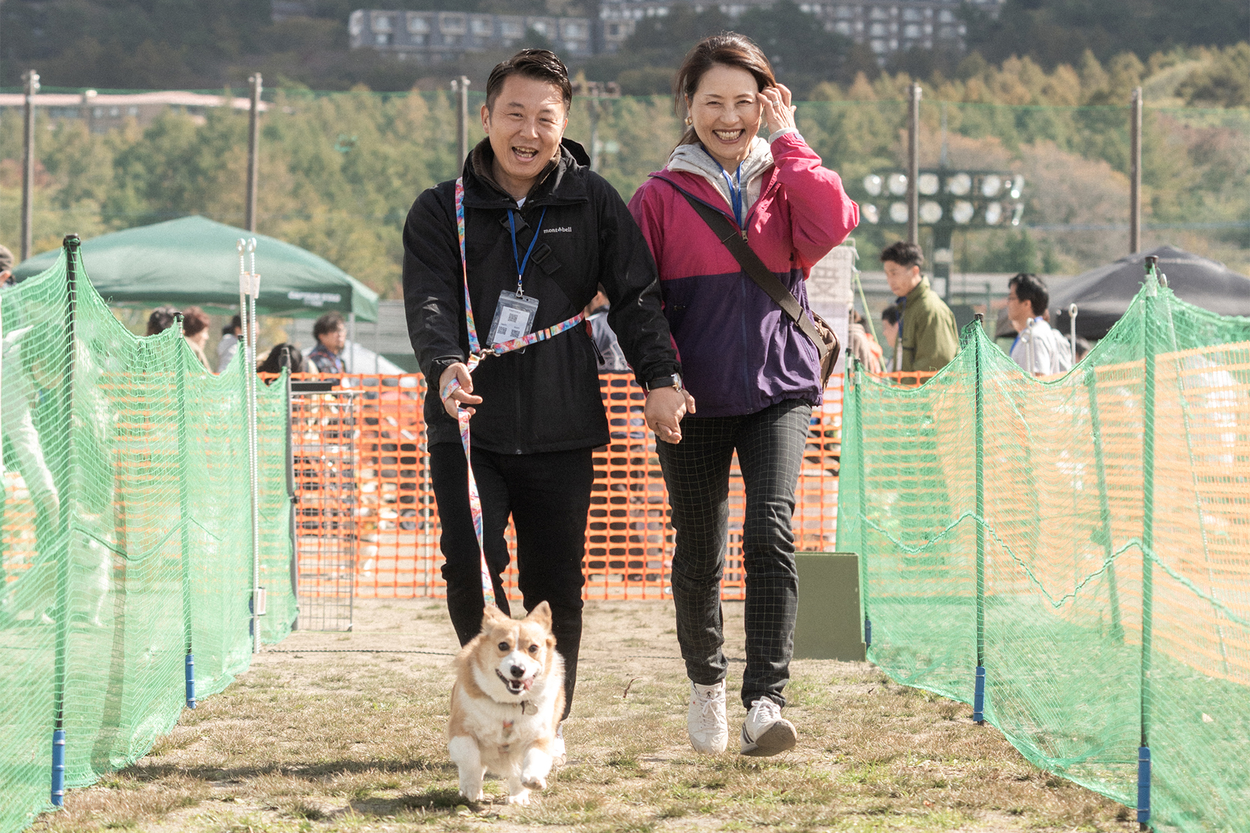 家族でダッシュ(Corgi)