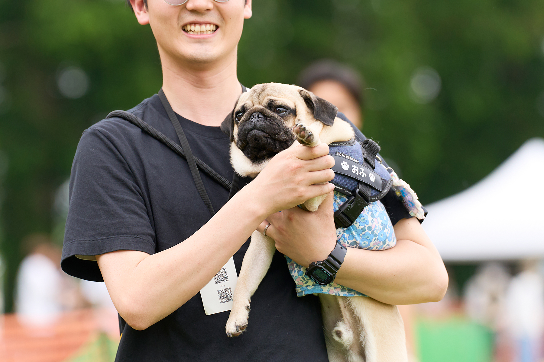 家族写真撮影(Pug)