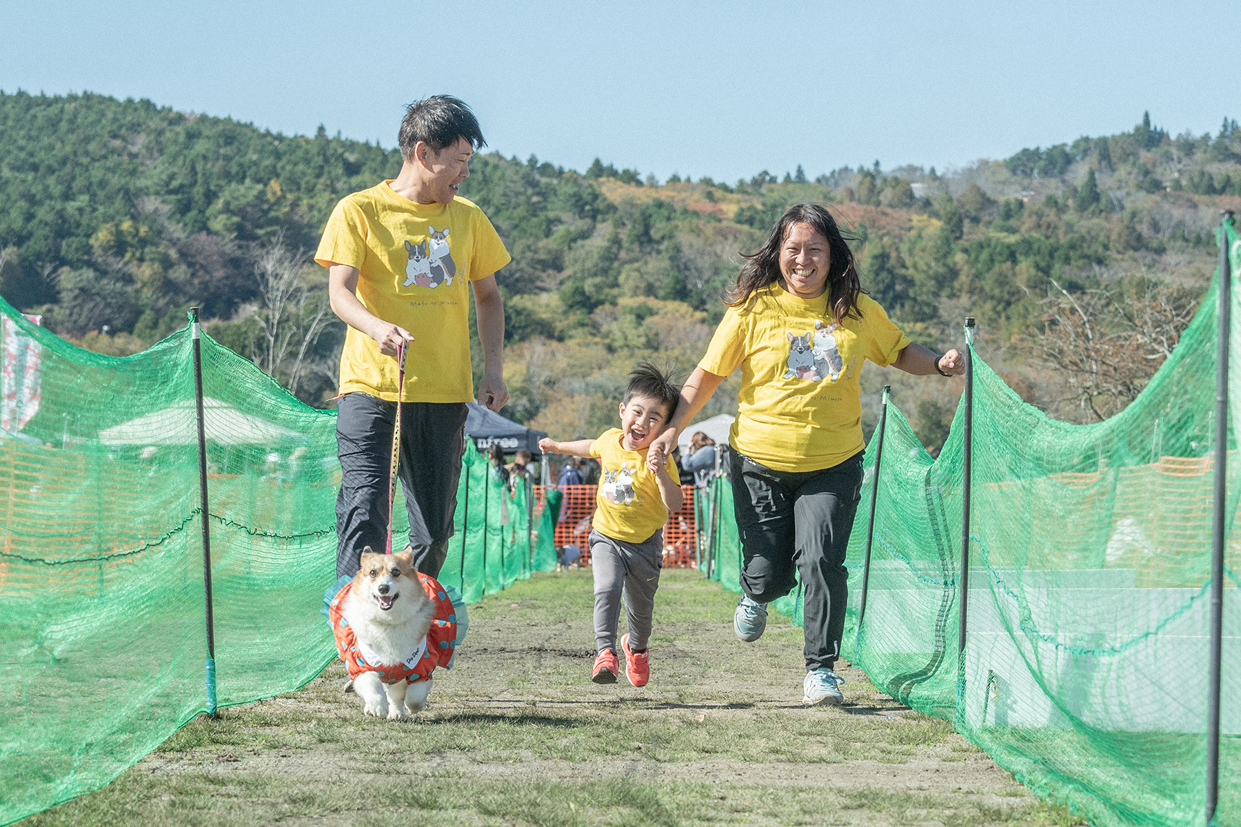 家族でダッシュ撮影(Corgi)