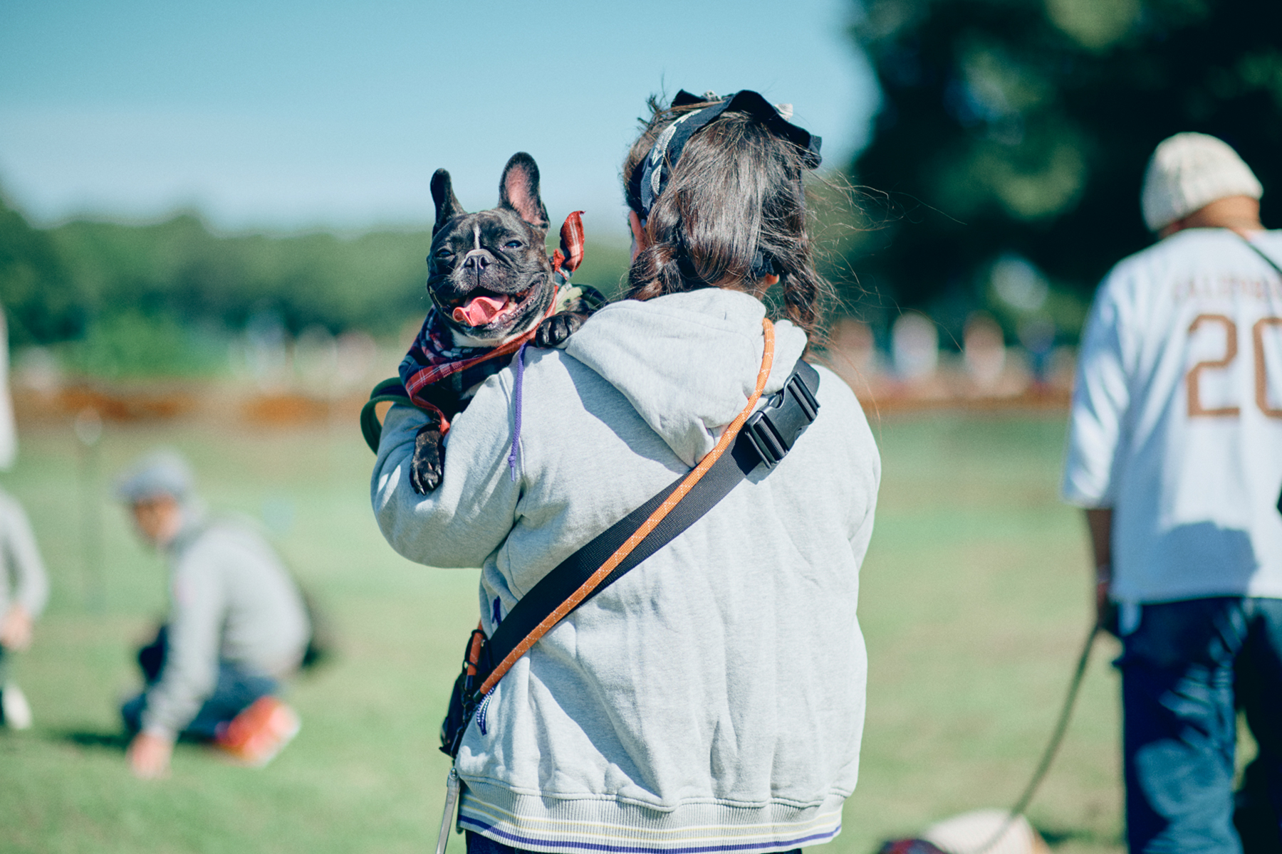 家族写真撮影(French Bulldog)