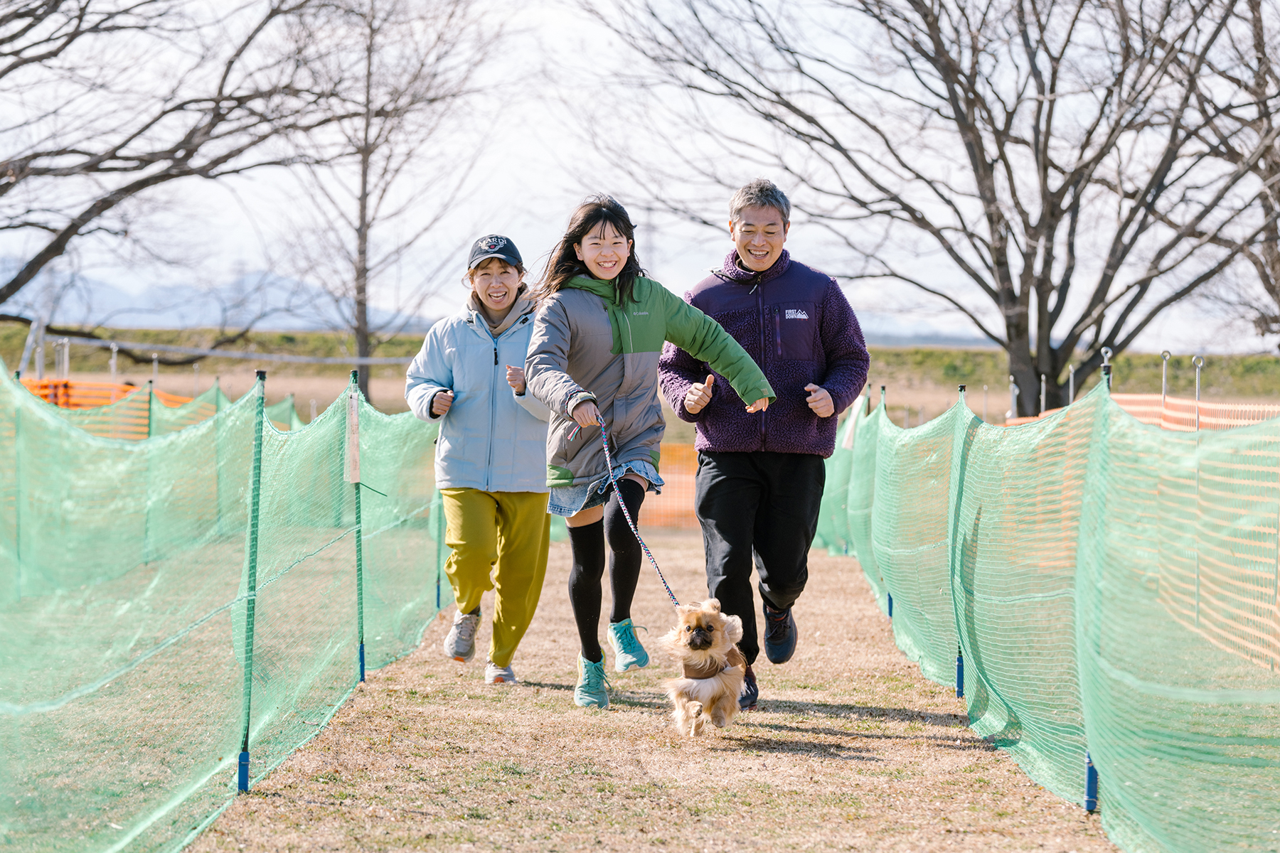 家族でダッシュ撮影(Pekingese)