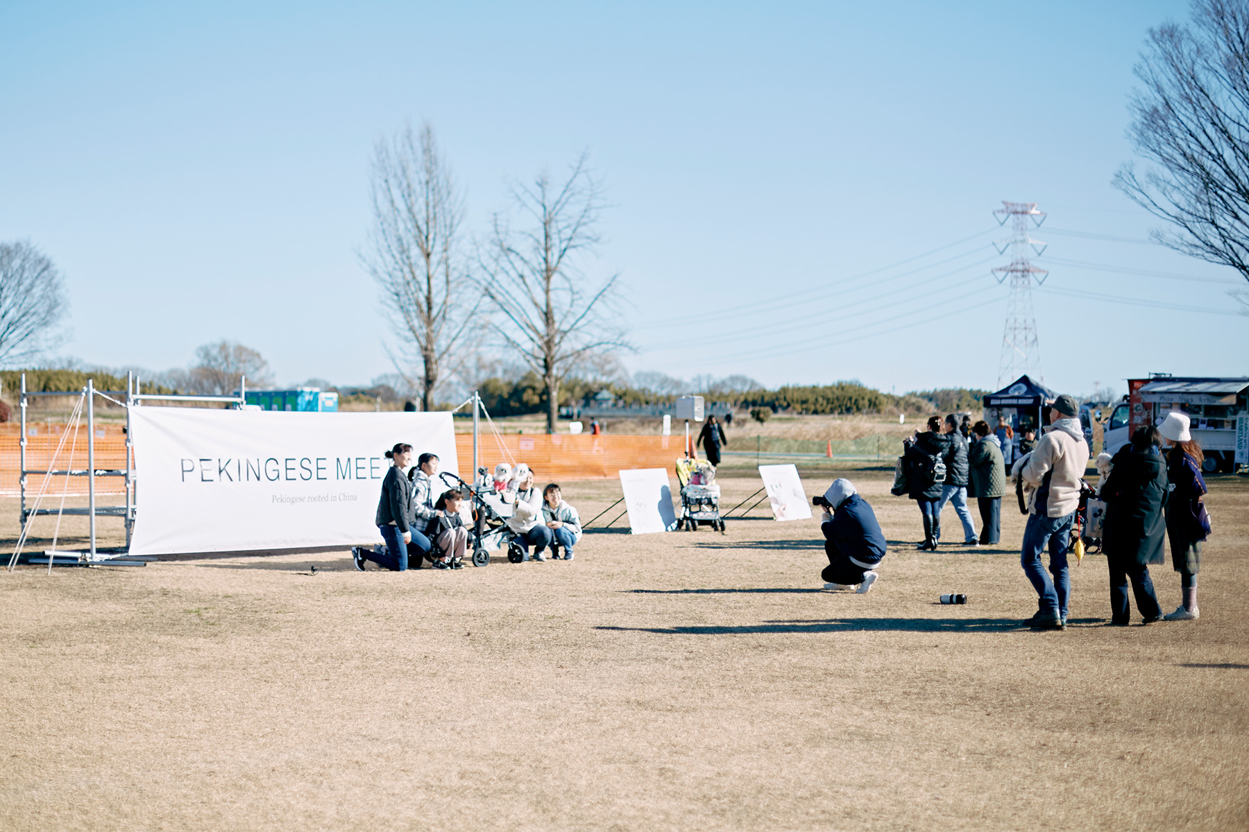 家族写真撮影(Pekingese)